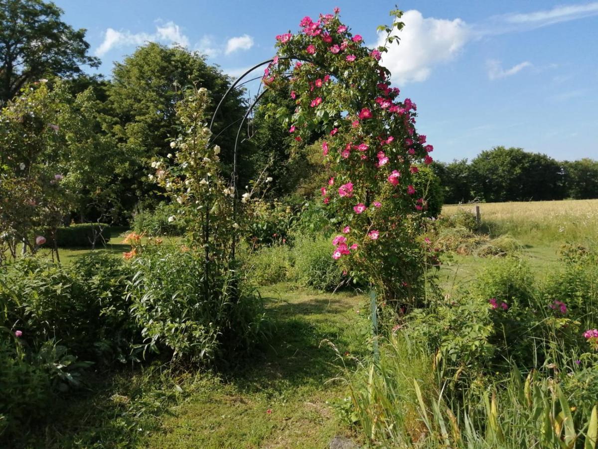 Les Berges De La Planchette Bed and Breakfast Yvignac-la-Tour Exteriör bild