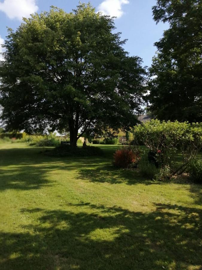 Les Berges De La Planchette Bed and Breakfast Yvignac-la-Tour Exteriör bild